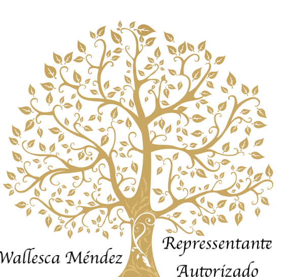 Wallesca Méndez - Agente de Planes Médicos en Puerto Rico